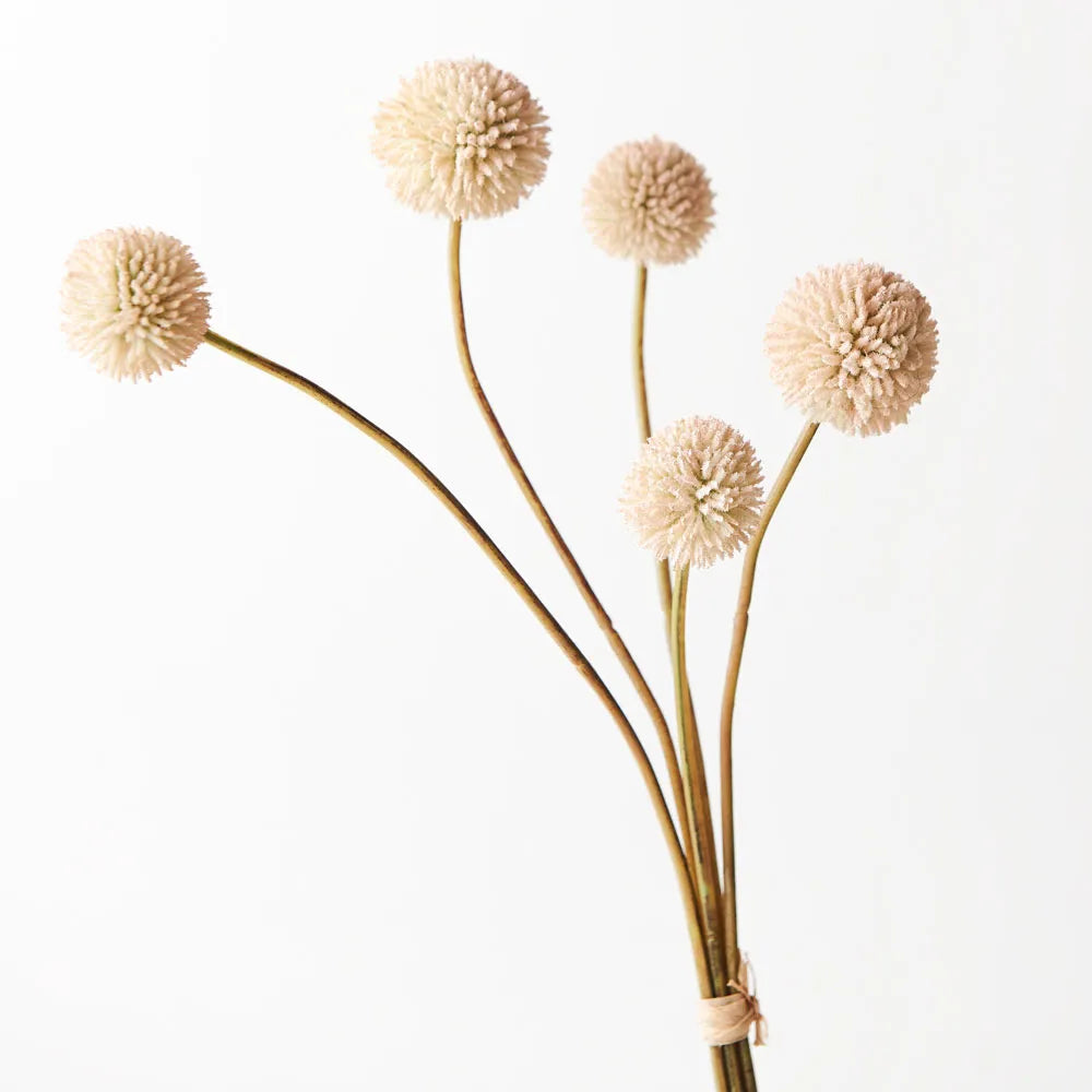 Billy Button Bundle Cream/Pink-48cm